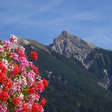Haus Schoenblick Apartment