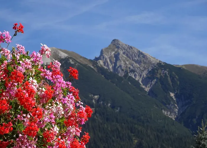 Haus Schoenblick Апартаменты